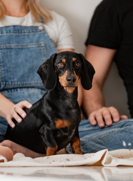 People sitting on the floor with their dog