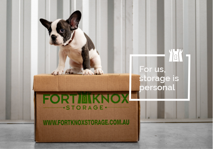 Group 553-1 A dog sat on top of a Fort Knox Storage box